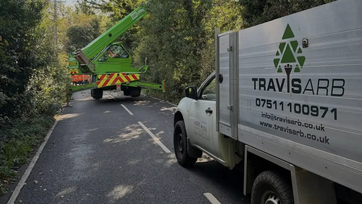Utility contract work on a roadside at Altrincham, the Travis Arb tipper beside a tracked machine