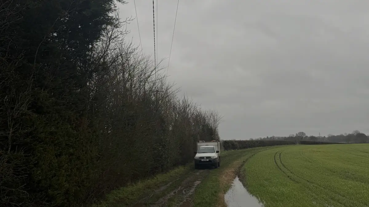 A tall hedgerow near Northwich growing up towards high voltage lines beside a field track