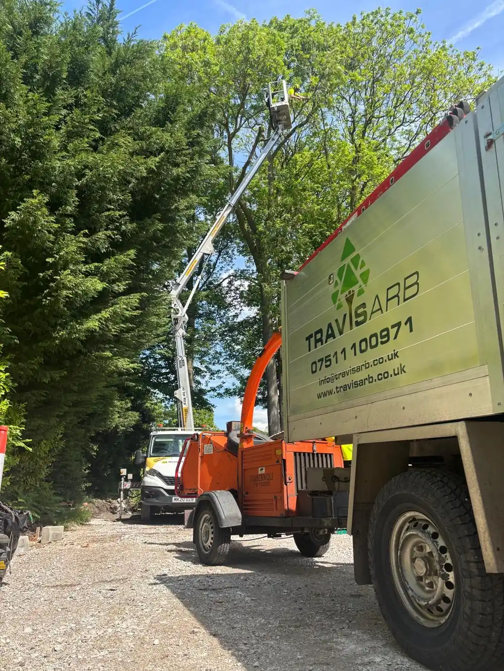 A cherry picker in the canopy at Manley, beside the orange chipper and the Travis Arb truck