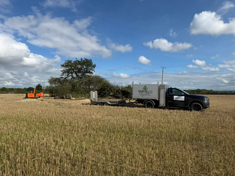 The Travis Arb truck, trailer and chipper in a stubble field at Bold Heath, beside a hedge and tree they have cleared
