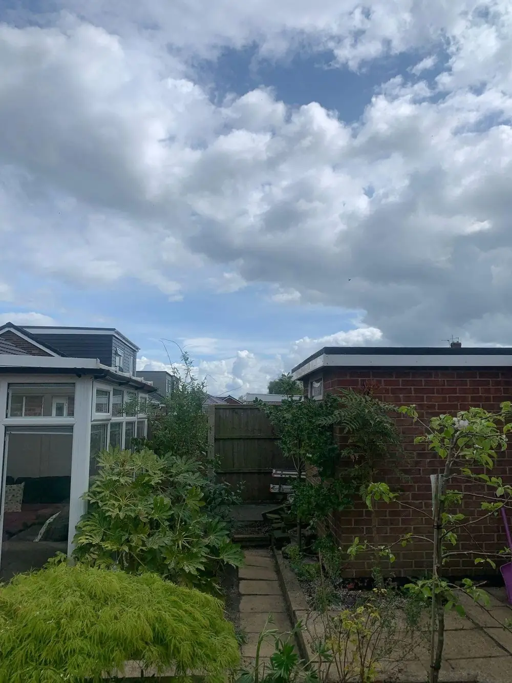 The same back garden with the tree removed
