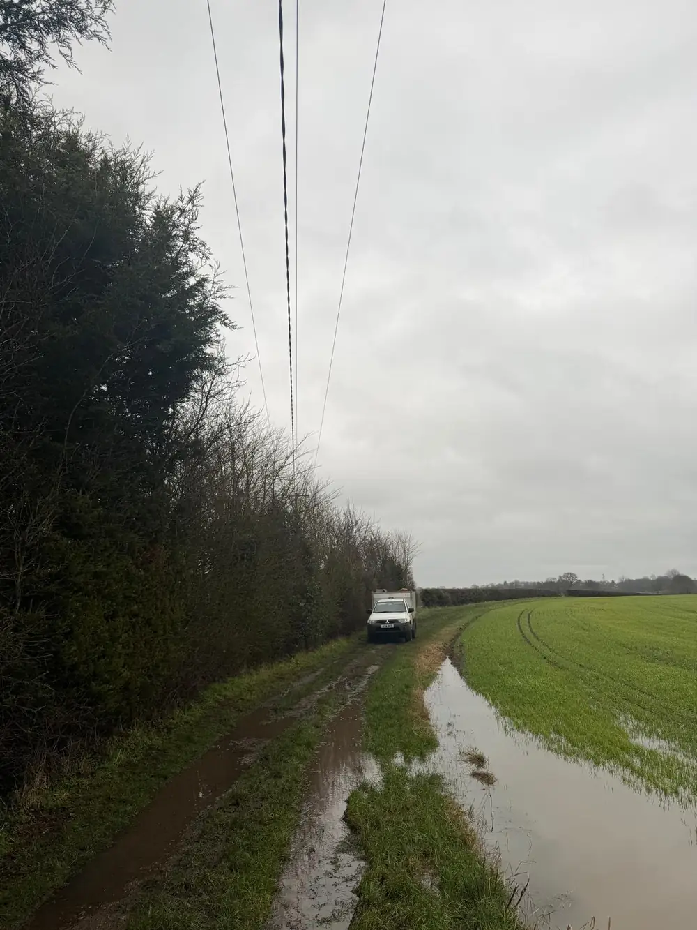A tall hedgerow near Northwich growing up towards high voltage lines beside a field track