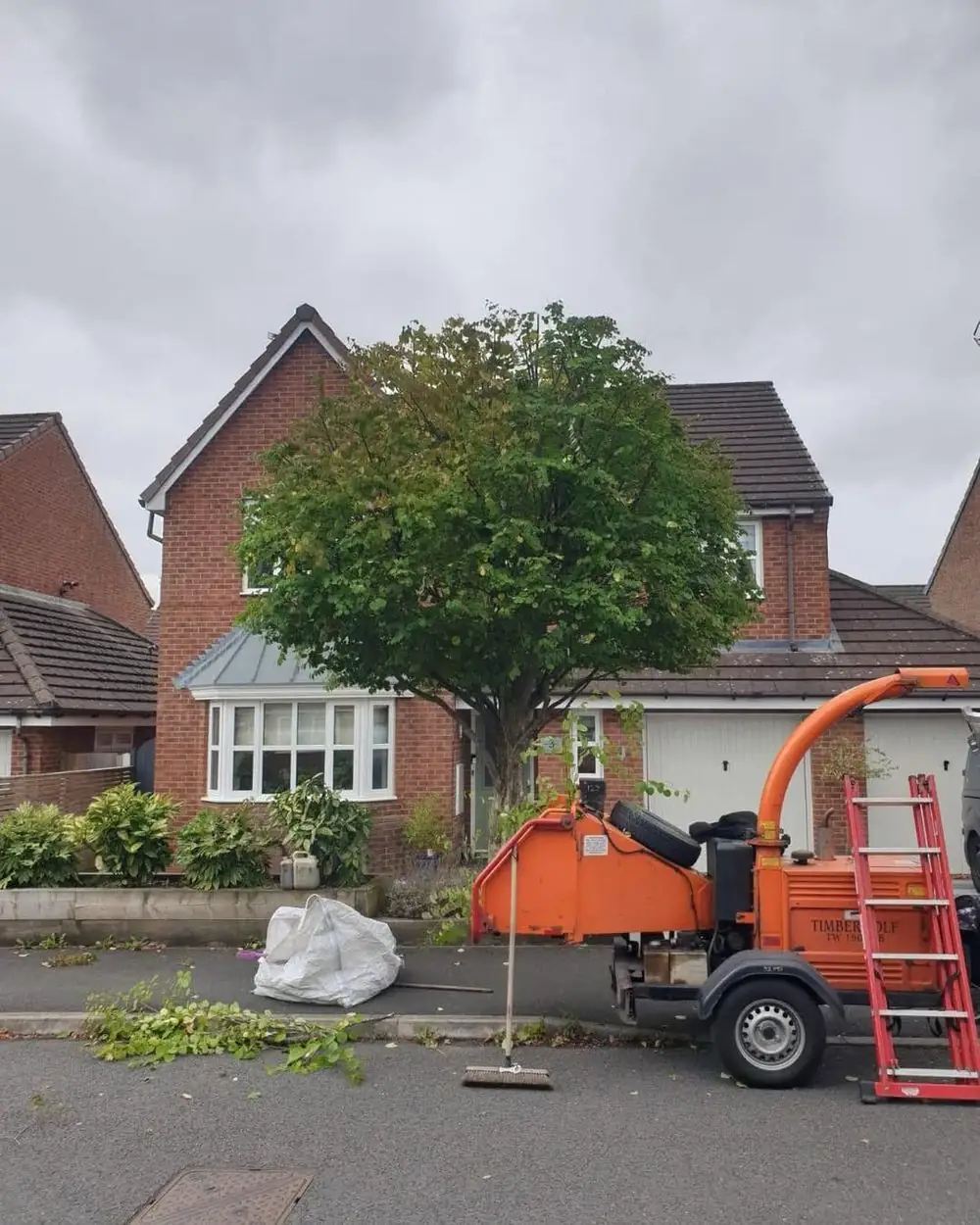 The same katsura smaller after a crown reduction, the chipper at the kerb