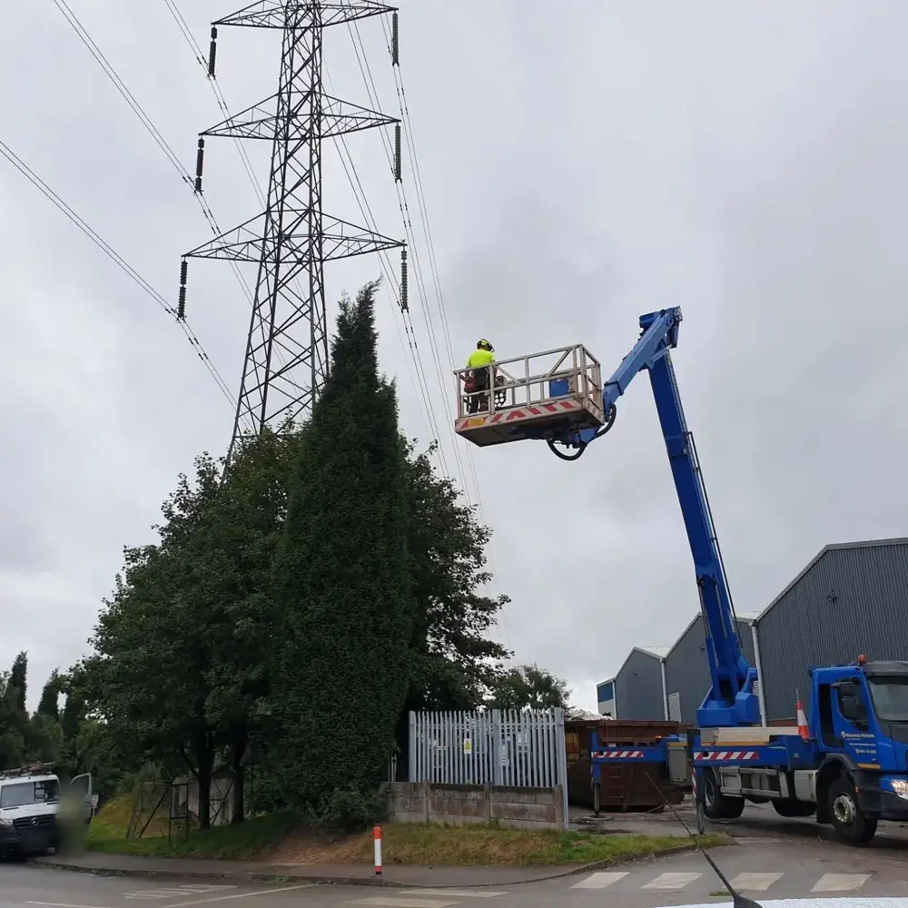 Conifers being cut back from a platform basket beneath a pylon carrying high voltage lines