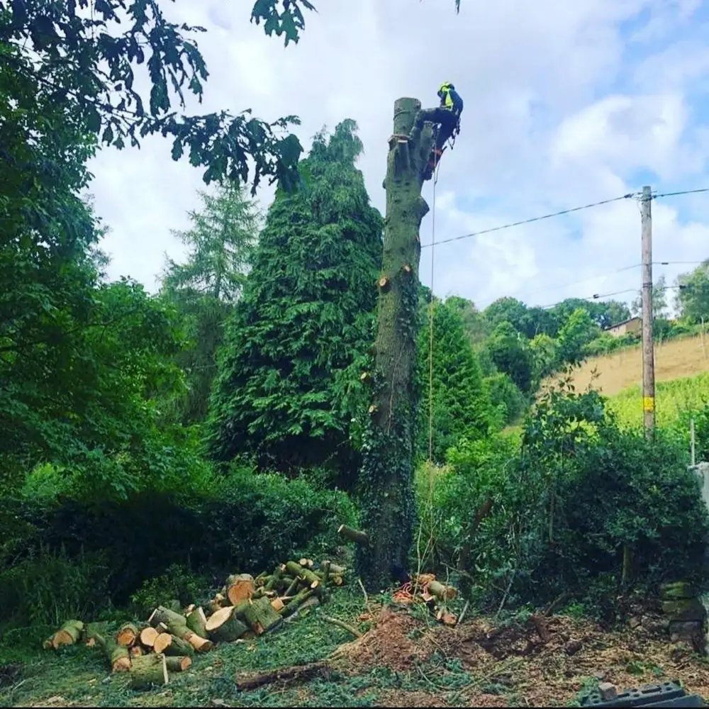 A climber taking a tall stem down in sections, the rounds stacked below