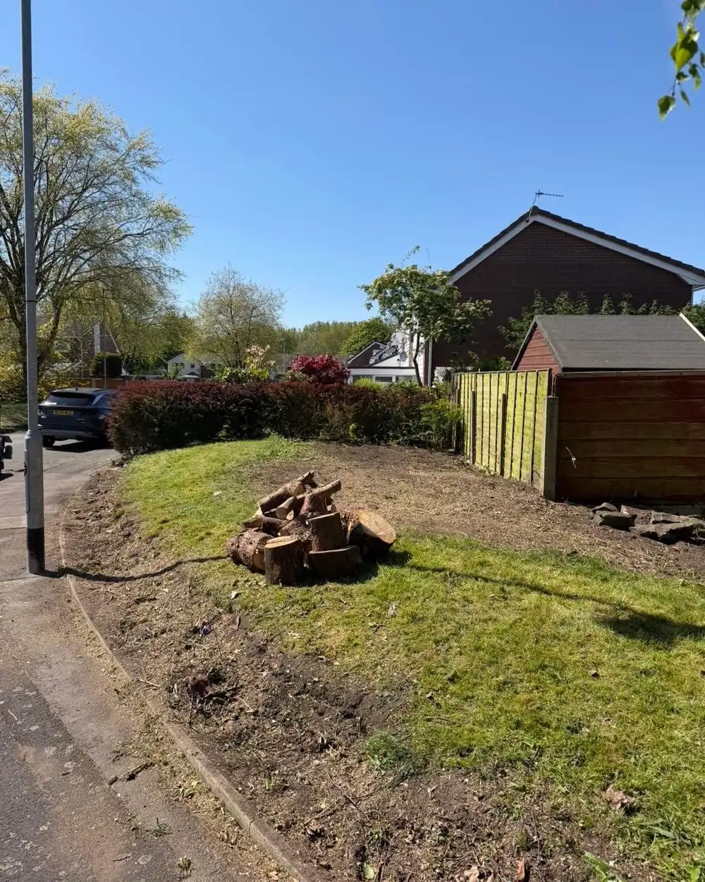 The stump ground out and the area levelled