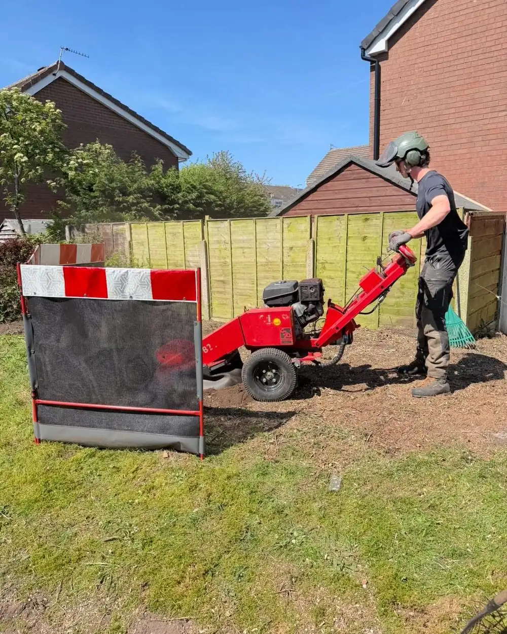 The stump grinder at work on a lawn in St Helens behind a safety barrier