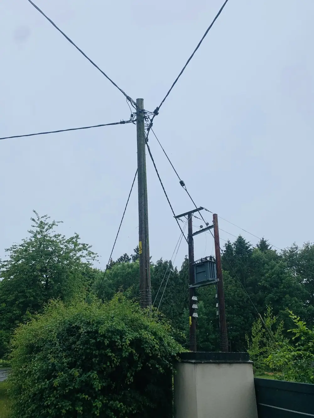 Wooden poles, overhead lines and a pole-mounted transformer above a hedge